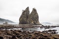 Sea stacks at Rialto Beach Washington in the morning fog. Royalty Free Stock Photo