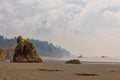 Forested background behind misty shore and seastacks Royalty Free Stock Photo
