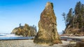 Sea stacks on Ruby Beach Royalty Free Stock Photo