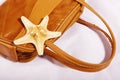 Sea star on a bag Royalty Free Stock Photo