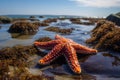 Sea star beach summer. Generate Ai Royalty Free Stock Photo