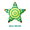 Sea Star color vector illustration.