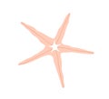 Sea star fish. Five-finger shaped marine starfish, mollusc. Exotic underwater ocean invertebrate animal. Summer beach Royalty Free Stock Photo