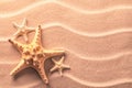 Sea star fish on sand of an idyllic tropical beach Royalty Free Stock Photo