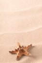 Sea star fish on sand of an idyllic tropical beacha star fish on sand of an idyllic tropical beach Royalty Free Stock Photo