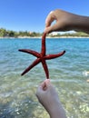 Sea star in the hands of a man. Sea animal, red inhabitant of the sea. There is a starfish in the palm of your hand