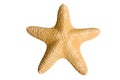 Sea star