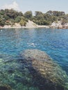 The sea star, in the mediteranian sea, toulon, France