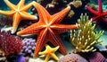 Sea Star Starfish seabed ocean water colorful habitat