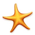 Sea Starfish Royalty Free Stock Photo