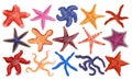 Sea starfish vector cartoon set icon. Vector illustration marine star on white background. Isolated cartoon set icon sea Royalty Free Stock Photo