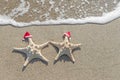 Sea-stars couple in santa hats on the sand. Royalty Free Stock Photo