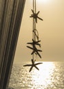 Sea stars decoration hanging from the white baldachin with beaut