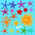 Sea stars set. Multicolored starfish. Starfishes underwater invertebrate animal. Vector illustration