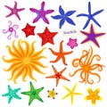 Sea stars set. Multicolored starfish on a white background. Starfishes underwater invertebrate animal. Vector Royalty Free Stock Photo