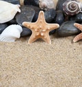 Sea stars and shells on beach Royalty Free Stock Photo