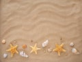 Sea stars and shells lie on the sand. The concept of rest, sea, travel. Copy space Royalty Free Stock Photo