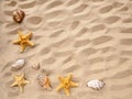 sea stars and shells lie on the sand. The concept of rest, sea, travel. Copy space Royalty Free Stock Photo