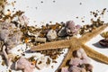 Sea stars and sea shells on sand isolated on white background, selective focus Royalty Free Stock Photo