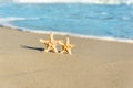 2 sea stars standing on golden sand near sea. Couple on summer vacation concept Royalty Free Stock Photo