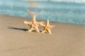 2 sea stars standing on golden sand near sea. Couple on summer vacation concept Royalty Free Stock Photo