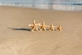 4 sea stars standing on golden sand near sea. Family summer vacation concept Royalty Free Stock Photo