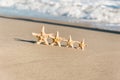 4 sea stars standing on golden sand near sea. Family summer vacation concept Royalty Free Stock Photo