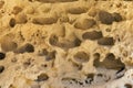 Sea stone background closeup Royalty Free Stock Photo