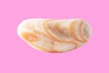 Sea stone from shell isolated on pink background Royalty Free Stock Photo