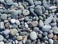 Sea stones background. Gray sea coastal pebbles