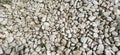 Sea stones background. Rounded stones texture. Colored cobblestone. Wall of stones of a white color Royalty Free Stock Photo