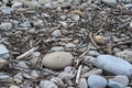 sea stones and boughs background Royalty Free Stock Photo