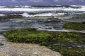 Sea stones covered with green algae among the foamy waves at low tide Royalty Free Stock Photo