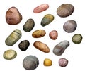 Sea stones drawing in watercolor