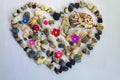 Sea stones in the form of a heart and a shell on white. Royalty Free Stock Photo