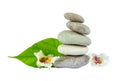 Sea stones with leaf isolated on white background Royalty Free Stock Photo