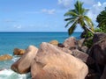 Sea stones and palm in beach on the Seychelles Royalty Free Stock Photo