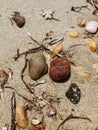 Sea stones on sandy wet beach. Summer background texture wallpaper. Royalty Free Stock Photo