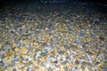 Sea stones in sea water. Pebbles under water. View from above. Marine night background. Clear sea water Royalty Free Stock Photo