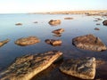 Sea stones shore wild