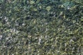 sea stones texture. Mossy stone. Green background Royalty Free Stock Photo
