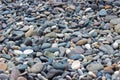 Sea stones, texture of sea stones. Beach.