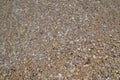 Sea stones in the sea water. Pebbles under water. The view from the top. Nautical background. Clean sea water. Transparent sea Royalty Free Stock Photo