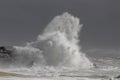 Sea storm in the portuguese coast