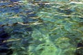 Clear sea with a stone bottom. Clear water . Small waves splashing. Royalty Free Stock Photo