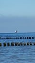 Sea, summer and sail on the horizon