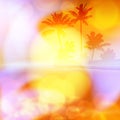 Sea summer sunset with palm tree and light on lens Royalty Free Stock Photo