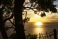 Sea, sun, calm wave and the beach tree silhouettes. Golden sunset light over the ocean horizon with big tree and wooden fence. Royalty Free Stock Photo