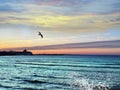 Sea sunset colorful sky, birds fly in harbor,water splash  light reflection on seawater, Ship on horizon , blue sky and pink fluff Royalty Free Stock Photo