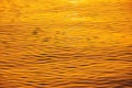Sea sunset and ocean ripples waves as water texture background Royalty Free Stock Photo